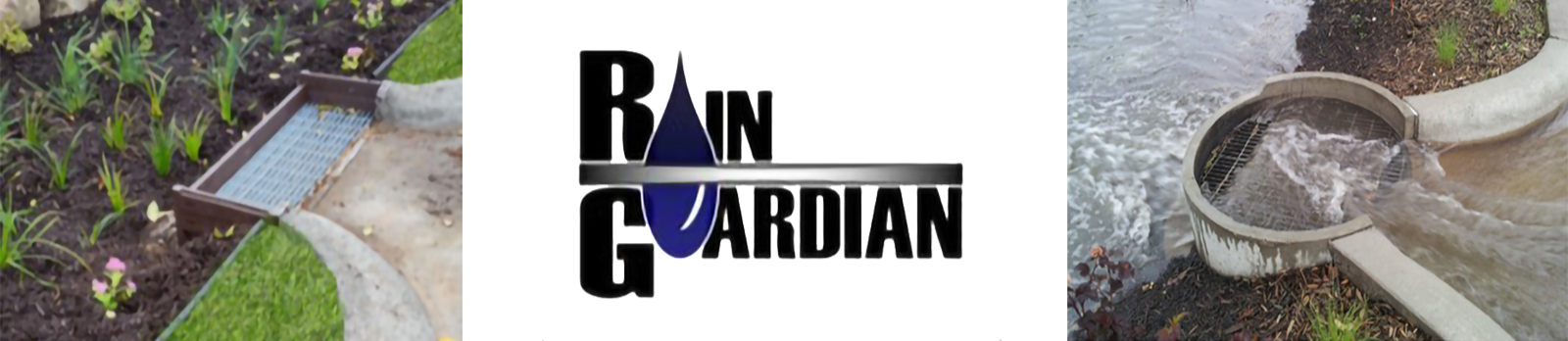 Rain Guardian 